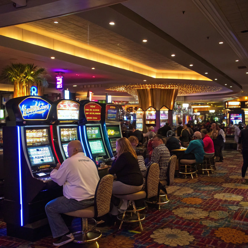 252bet